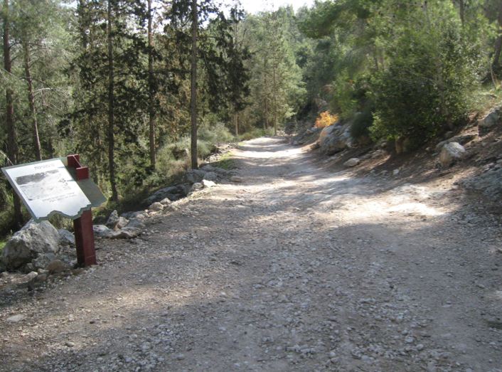 The Road 1