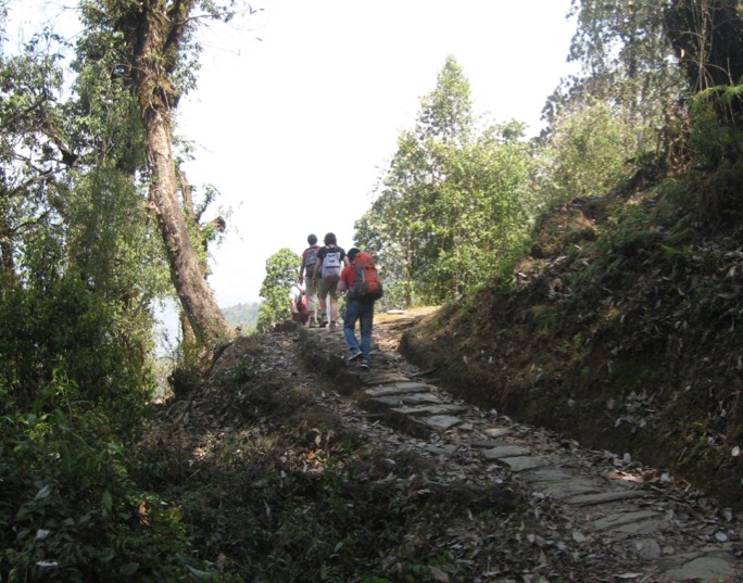 Steps